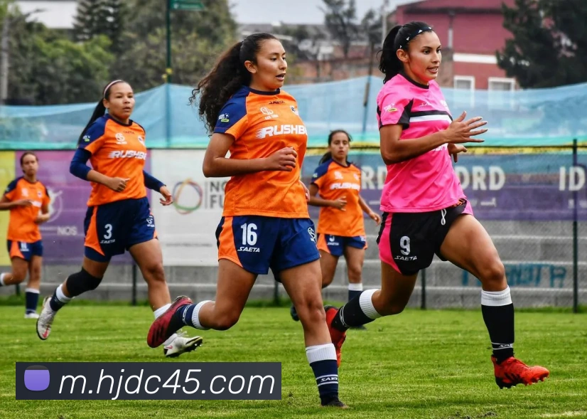 皇家赌场hjdc全站App